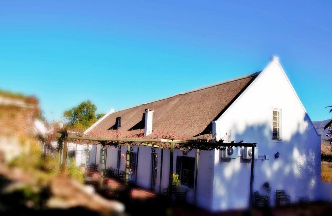 Port Wine Guest House Calitzdorp Exterior photo